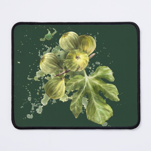 Item preview, Ripe green fig fruit and leaves sticker hand-drawn watercolor illustrations  designed and sold by BartolArt.