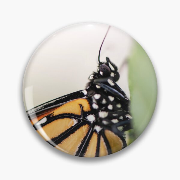 Item preview, monarch butterfly close up designed and sold by sarahjeanphoto.
