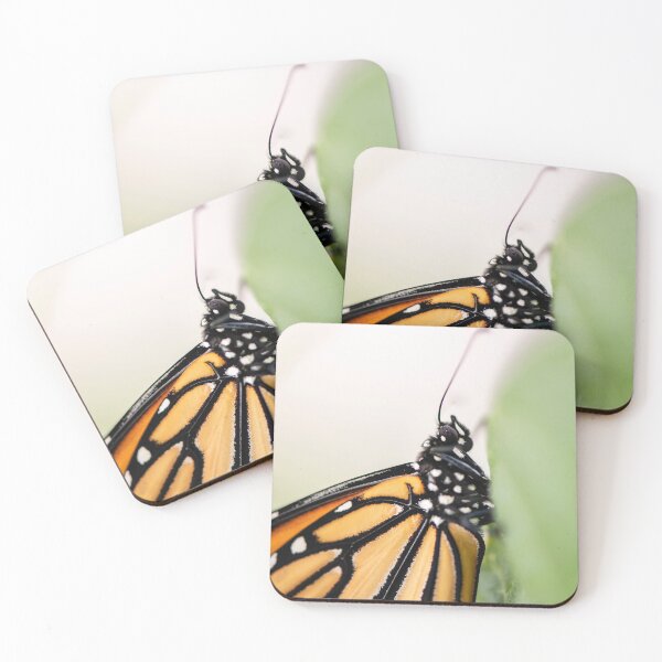 Item preview, monarch butterfly close up designed and sold by sarahjeanphoto.