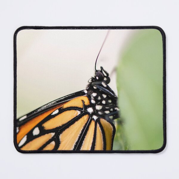 Item preview, monarch butterfly close up designed and sold by sarahjeanphoto.