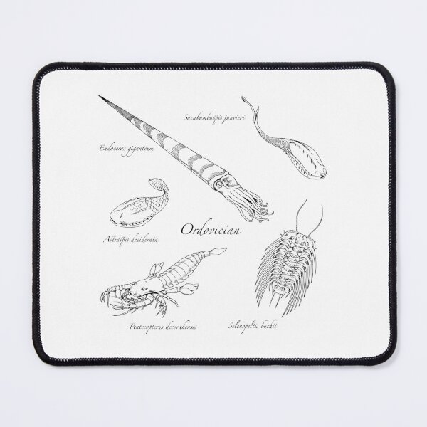 Item preview, Ordovician Life (Hand Writing Style Font) designed and sold by DavidNeffArt.