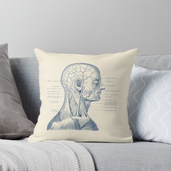 Item preview, Vascular and Muscular System - Vintage Anatomy designed and sold by VAposters.