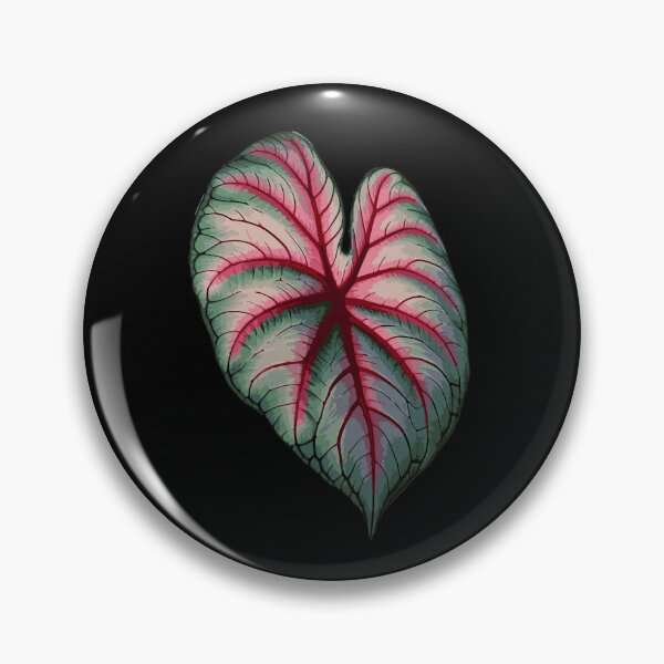 Item preview, Caladium Leaf Plants Gift Caladium Lovers designed and sold by HosvPrint .s.