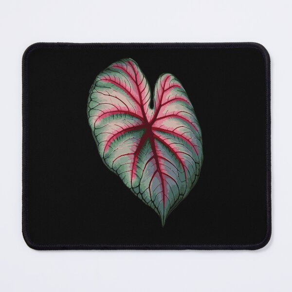 Item preview, Caladium Leaf Plants Gift Caladium Lovers designed and sold by HosvPrint .s.
