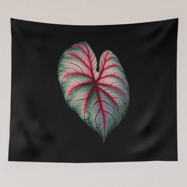 Item preview, Caladium Leaf Plants Gift Caladium Lovers designed and sold by HosvPrint .s.