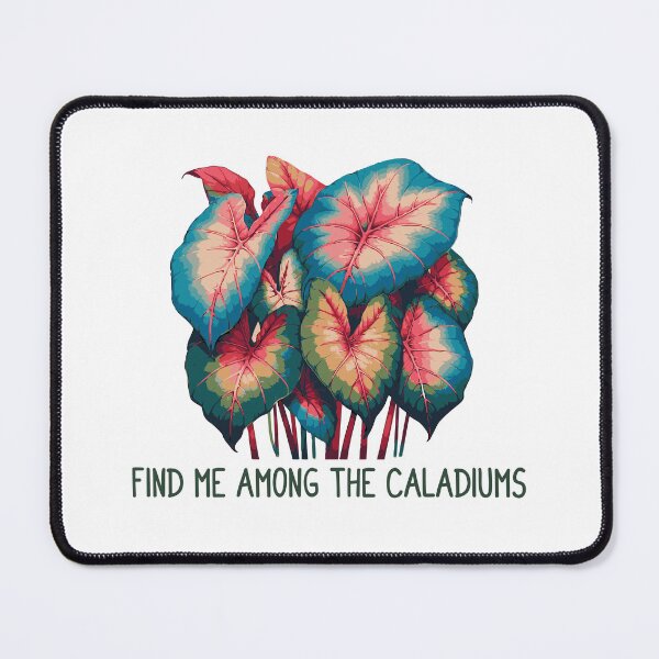 Item preview, Caladium Leaf Plants Gift Caladium Lovers designed and sold by HosvPrint .s.