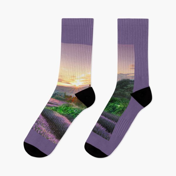 Item preview, Yorkshire Lavender Fields designed and sold by Alisonchambers2.