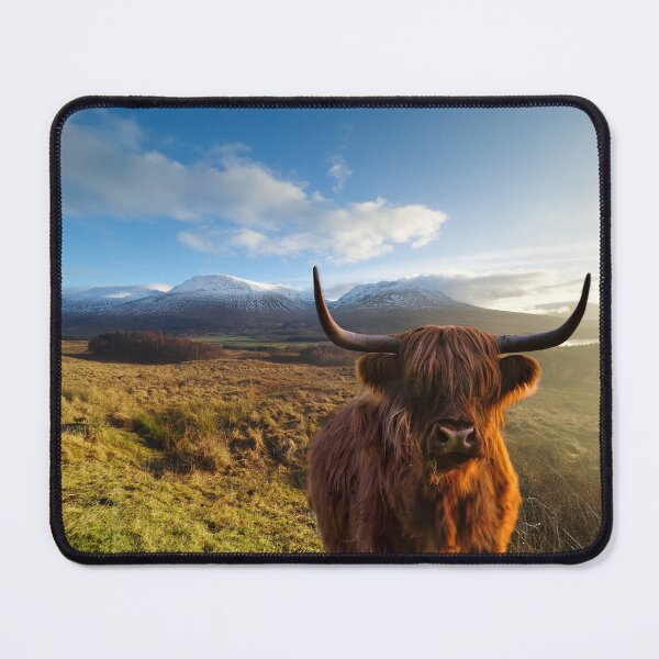 Item preview, Highland Cow at Loch Tulla designed and sold by Alisonchambers2.