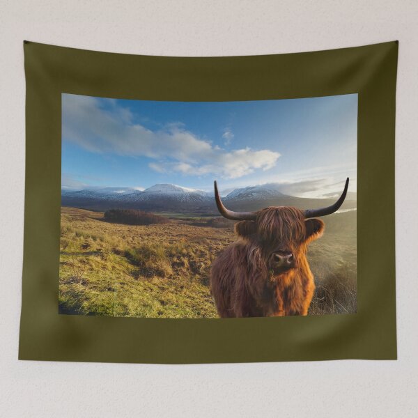 Item preview, Highland Cow at Loch Tulla designed and sold by Alisonchambers2.