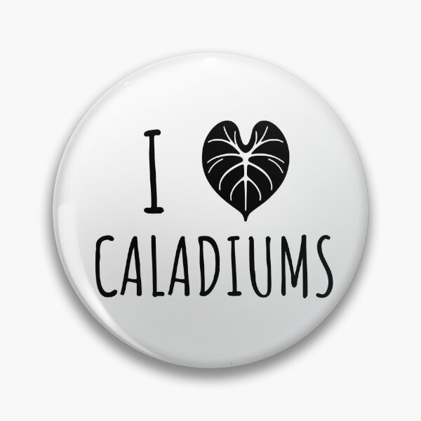 Item preview, Caladium Leaf Plants Gift Caladium Lovers designed and sold by HosvPrint .s.