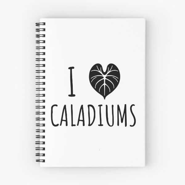 Item preview, Caladium Leaf Plants Gift Caladium Lovers designed and sold by HosvPrint .s.