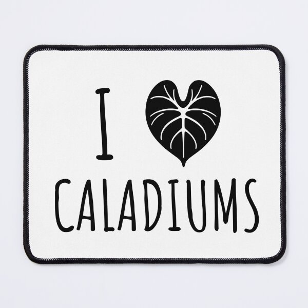 Item preview, Caladium Leaf Plants Gift Caladium Lovers designed and sold by HosvPrint .s.