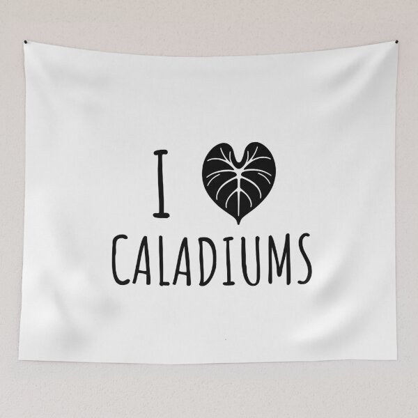 Item preview, Caladium Leaf Plants Gift Caladium Lovers designed and sold by HosvPrint .s.