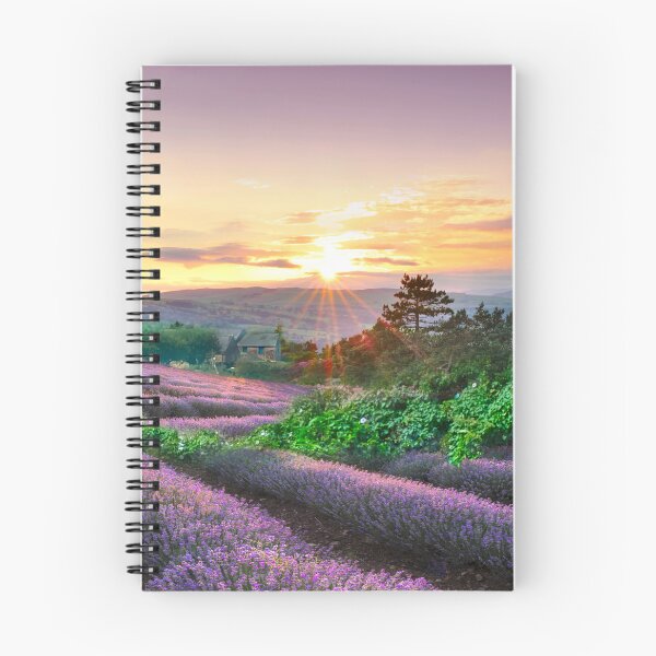 Item preview, Yorkshire Lavender Fields designed and sold by Alisonchambers2.