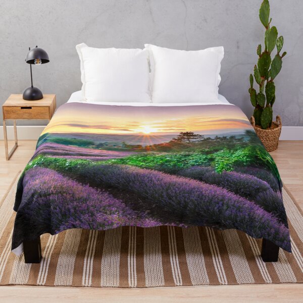 Item preview, Yorkshire Lavender Fields designed and sold by Alisonchambers2.