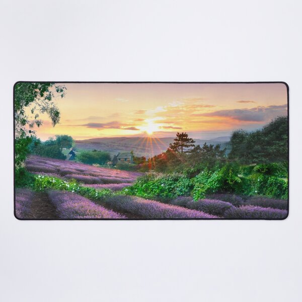 Item preview, Yorkshire Lavender Fields designed and sold by Alisonchambers2.