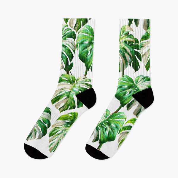 Item preview, Monstera deliciosa Variegata designed and sold by MossaicArt.