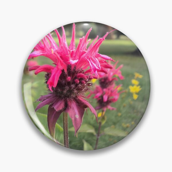 Item preview, Scarlet Beebalm designed and sold by aspiritualgirl.