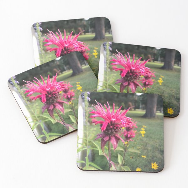 Item preview, Scarlet Beebalm designed and sold by aspiritualgirl.