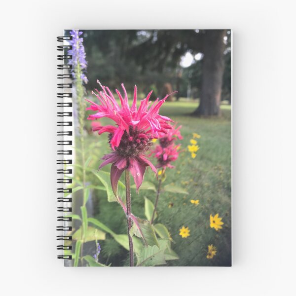 Item preview, Scarlet Beebalm designed and sold by aspiritualgirl.