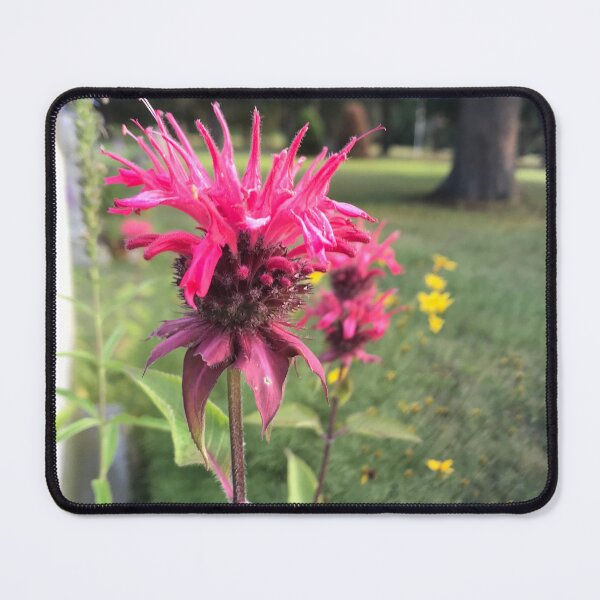 Item preview, Scarlet Beebalm designed and sold by aspiritualgirl.