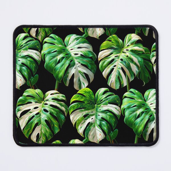 Item preview, Monstera deliciosa Variegata designed and sold by MossaicArt.