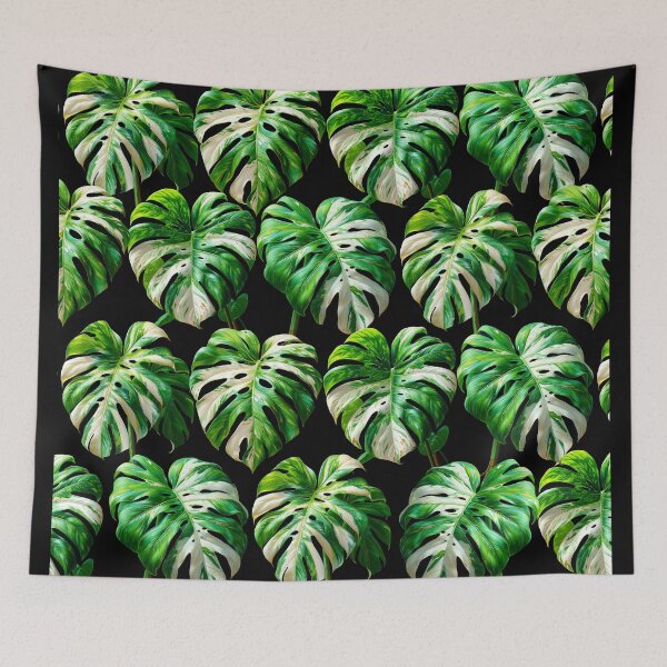 Item preview, Monstera deliciosa Variegata designed and sold by MossaicArt.