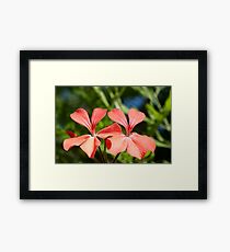 Twins Framed Print