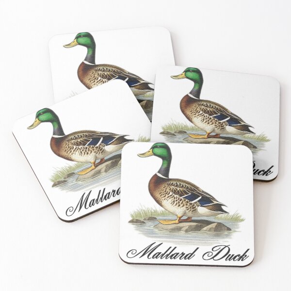 Item preview, a duck standing on a rock designed and sold by jnsmerchstore.
