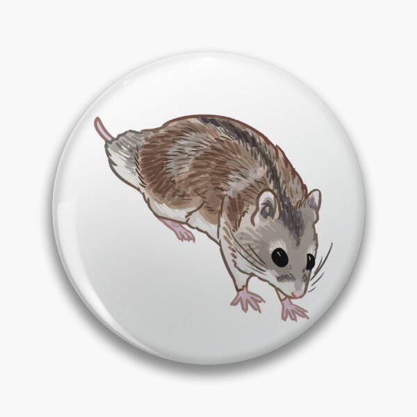 Item preview, Animalia! Sokolov's Dwarf Hamster designed and sold by Jackie Bonnema.