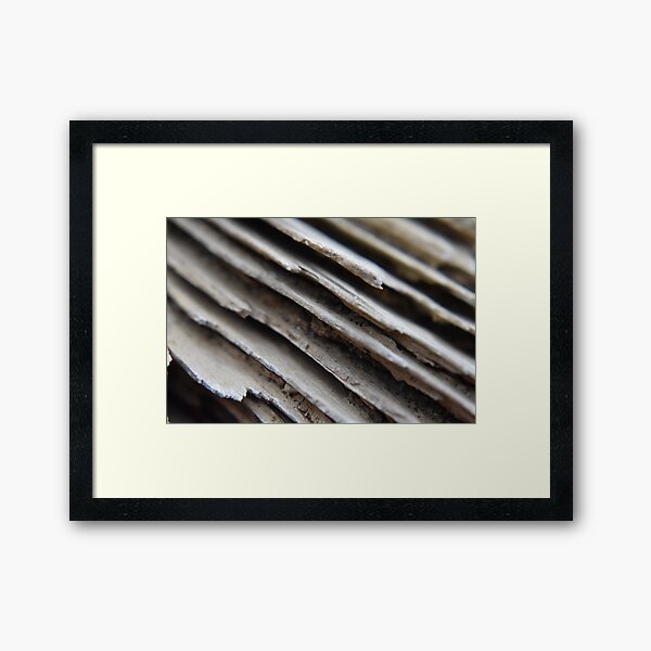 Item preview, Macro driftwood  designed and sold by Tonia Delozier's Photography .