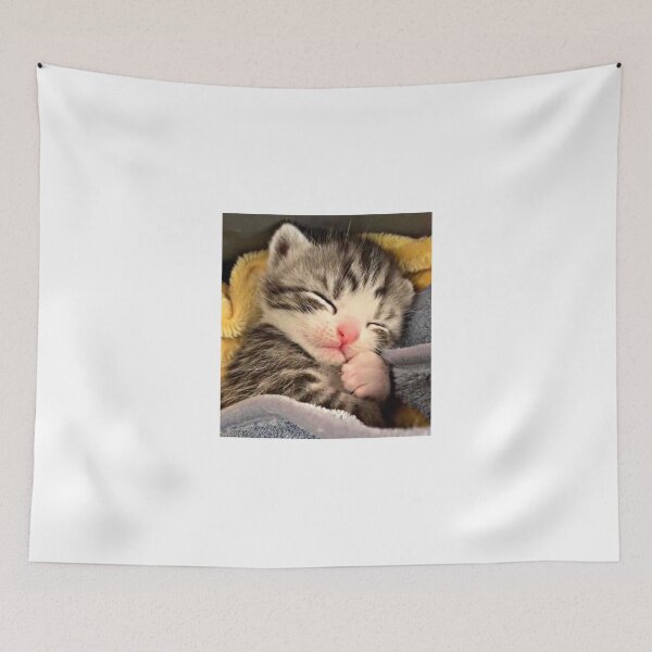Item preview, Kitty cat kitten animal shirt designed and sold by Flowerslaps.