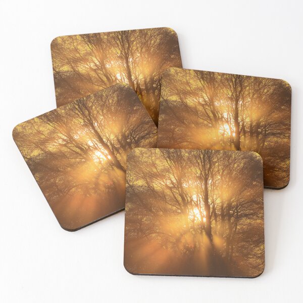 Item preview, Digital photograph sunburst through winter woodland designed and sold by SimonJohnson1.
