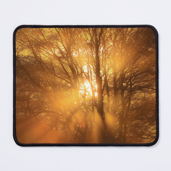 Item preview, Digital photograph sunburst through winter woodland designed and sold by SimonJohnson1.