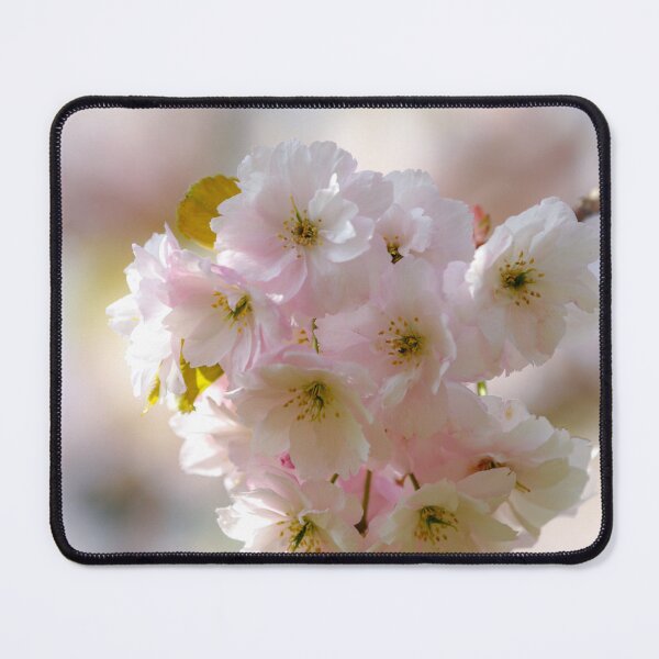 Item preview, Digital photograph spring Cherry Blossom designed and sold by SimonJohnson1.