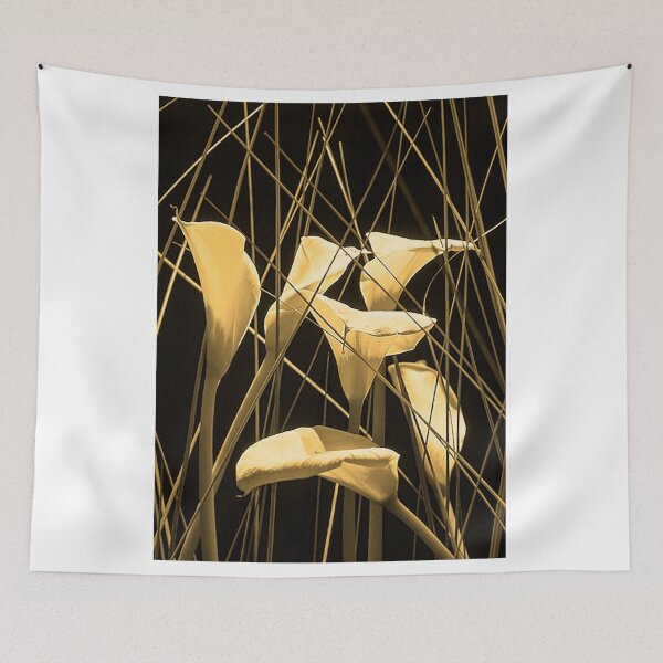 Item preview, Bouquet of white Cala lilies and stalks against a black background designed and sold by Michael Brewer.