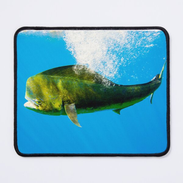 Item preview, Massive Mahi designed and sold by Kevin Dodge.