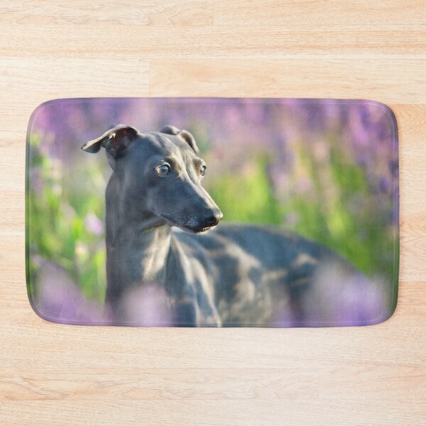 Artikelvorschau, Whippet-Foto entworfen und verkauft von Iluvmygreyhound.