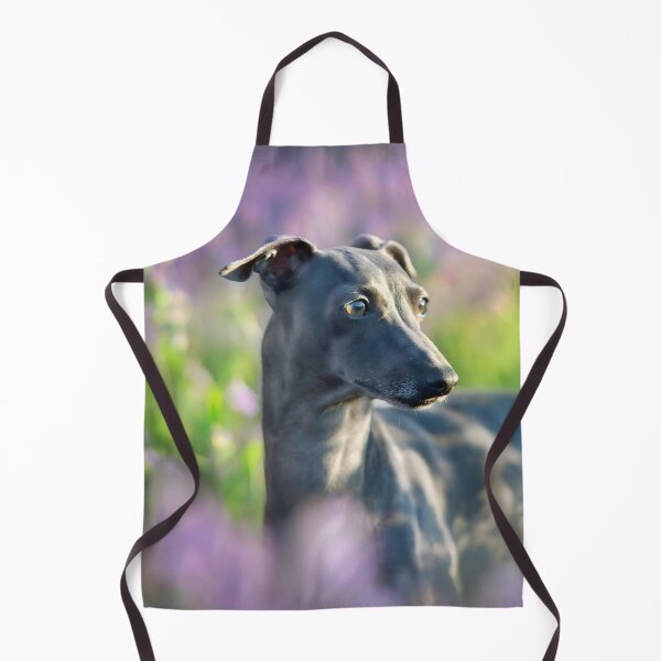 Artikelvorschau, Whippet-Foto entworfen und verkauft von Iluvmygreyhound.