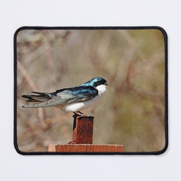 Item preview, Sing A Song designed and sold by Debbie Oppermann.