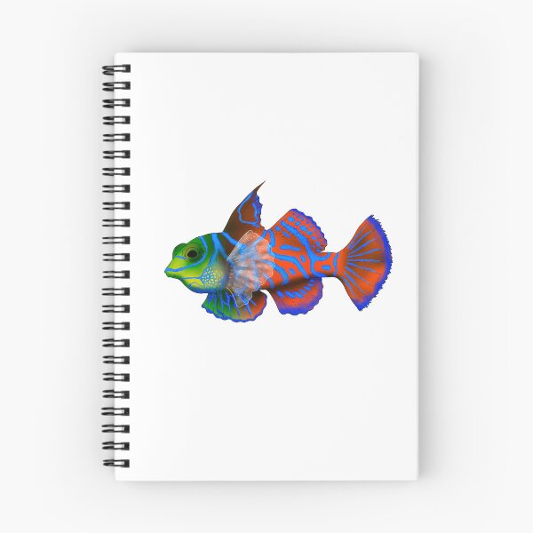 Item preview, mandarin fish designed and sold by lucamendieta.