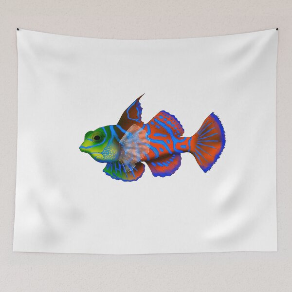 Item preview, mandarin fish designed and sold by lucamendieta.