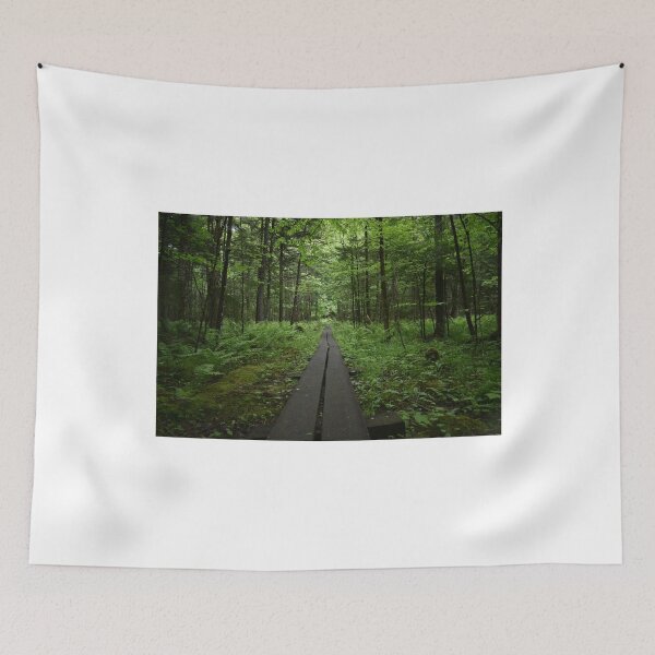 Aperçu de l'œuvre Adirondacks ADK New York Montagnes Adirondacks créée et vendue par HosvPrint .s.