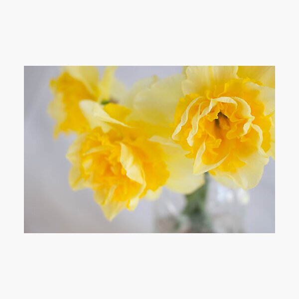 Aperçu de l'œuvre Salutations de printemps créée et vendue par nancyjcreates.