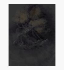 Life Shadowed in Darkness Photographic Print