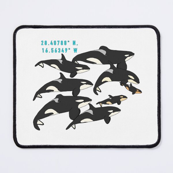 Item preview, Coordenadas de la manada de orcas del Loro Parque designed and sold by tidaldreams.