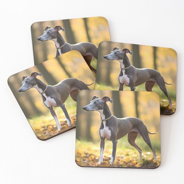 Item preview, Foto de Whippet designed and sold by Iluvmygreyhound.