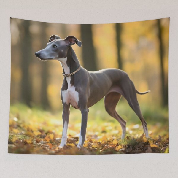 Artikelvorschau, Whippet-Foto entworfen und verkauft von Iluvmygreyhound.