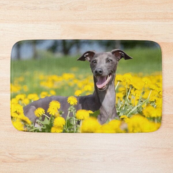 Artikelvorschau, Whippet-Foto entworfen und verkauft von Iluvmygreyhound.