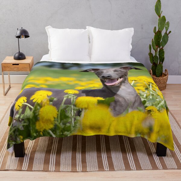 Item preview, Whippet photo designed and sold by Iluvmygreyhound.